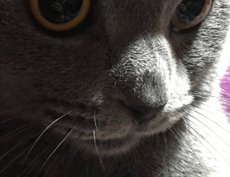 0297xud8 python code error