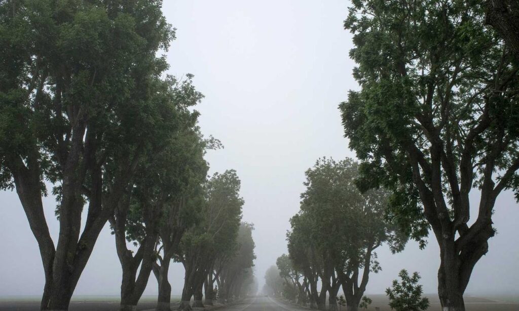 hcs 411gits error codes