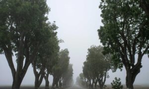 hcs 411gits error codes