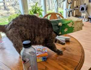 hosted event pblgamevent