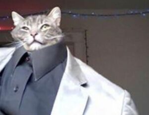 how pregnant women avoid cozotaijin