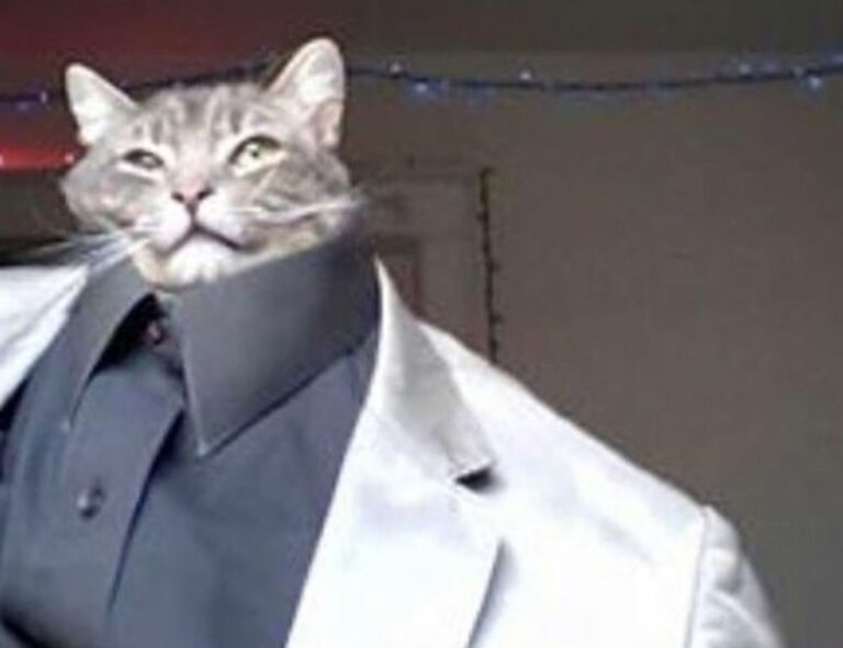 how pregnant women avoid cozotaijin