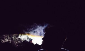 how to download shotscribus software for computer