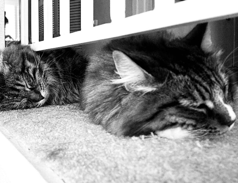 how to fix dowsstrike2045 python code