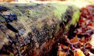 online gaming event pblgamevent