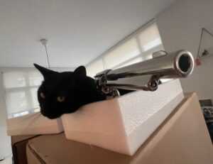 problems with dropbox 8737.idj.029.22