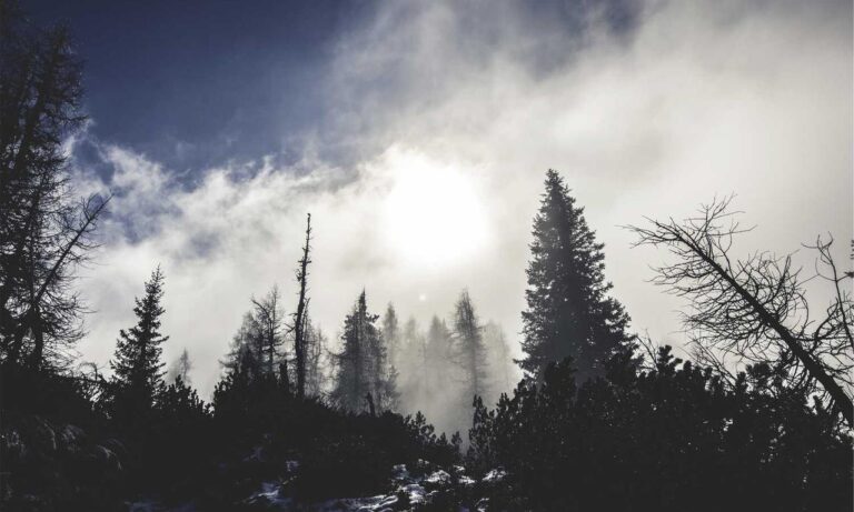 why software 5ah9.6max0 python fails