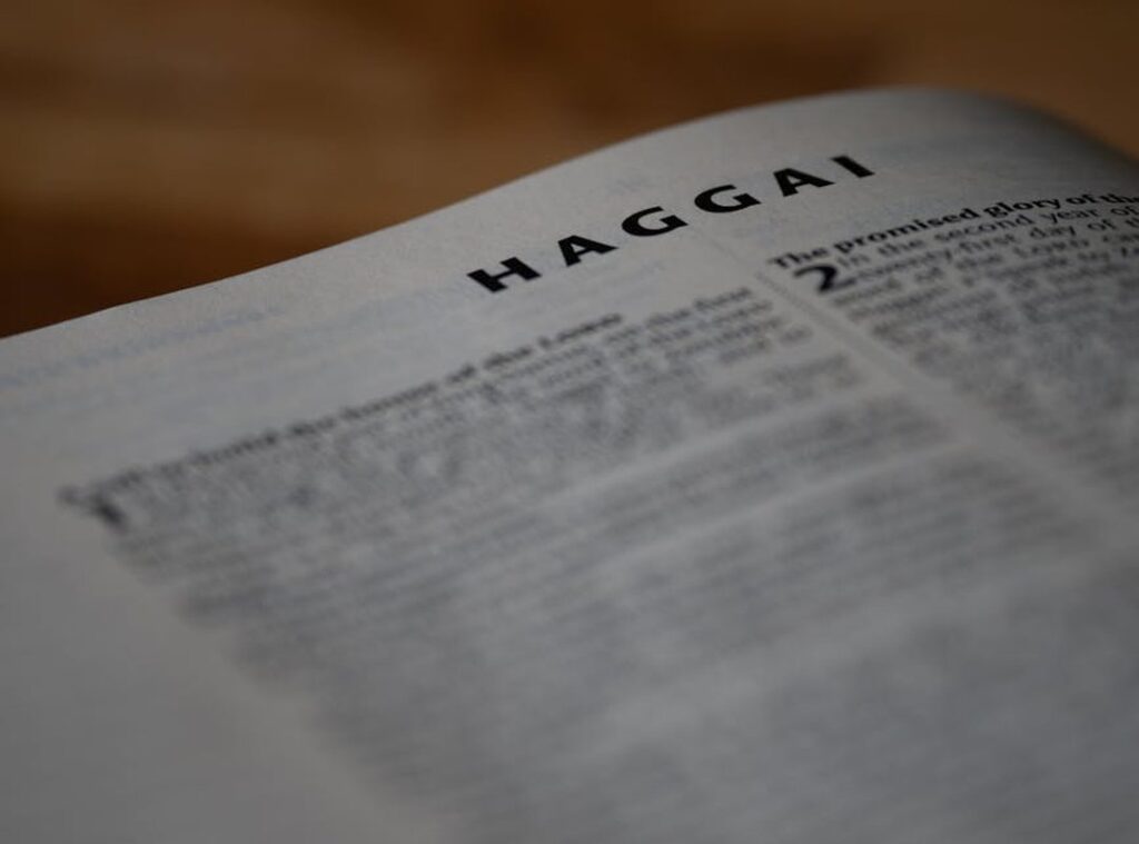 Doatoike New Version