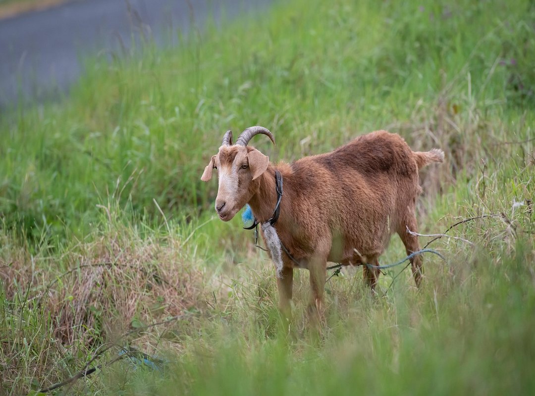 How Gaming Has Evolved Zeromagtech