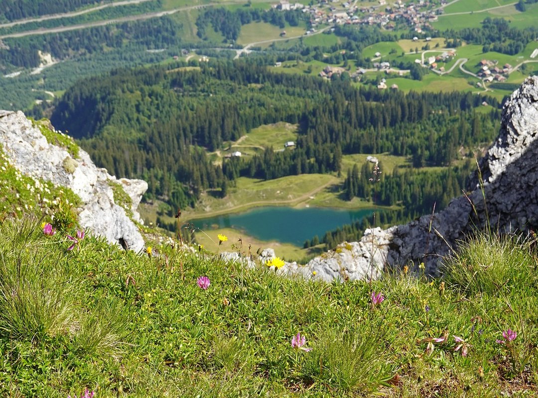 What Is Real Time Gaming Zeromagtech