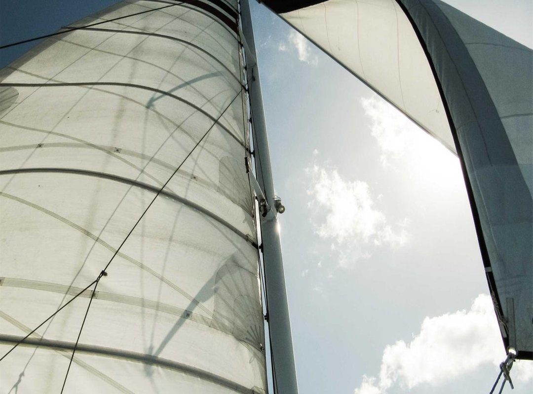 Pros and Cons: Evaluating Coles Corn Flour