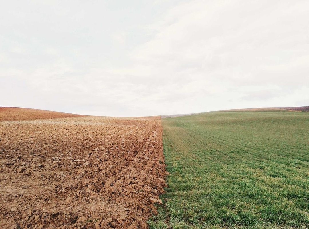 The Core Message: A Modern Analysis of the Quote's Meaning