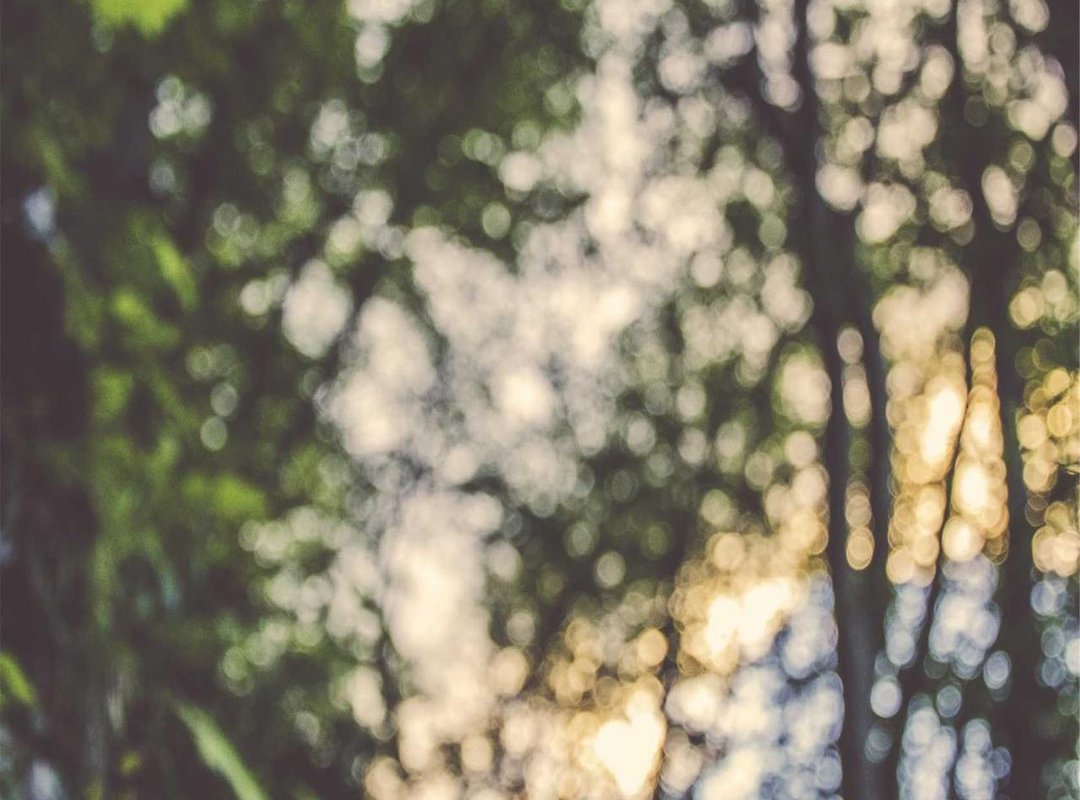 The Outfit: A Closer Look at Kate's Iconic Attire