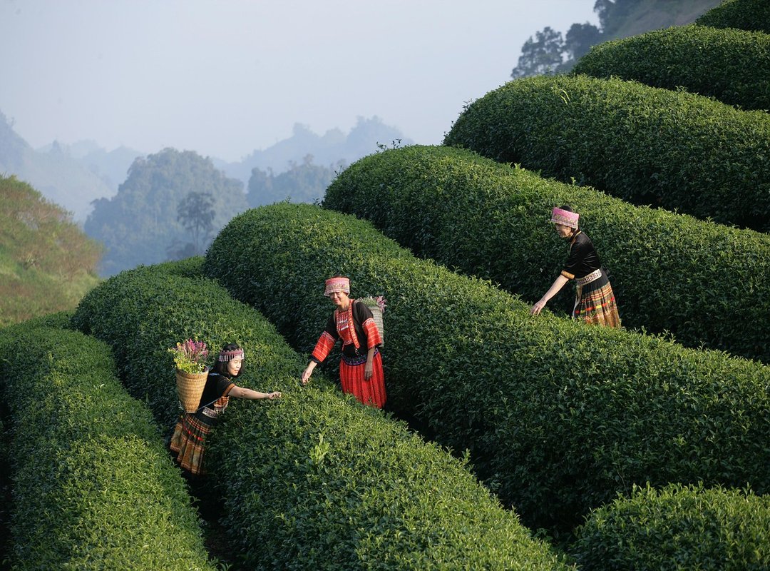 In-Store Services and Beauty Experiences