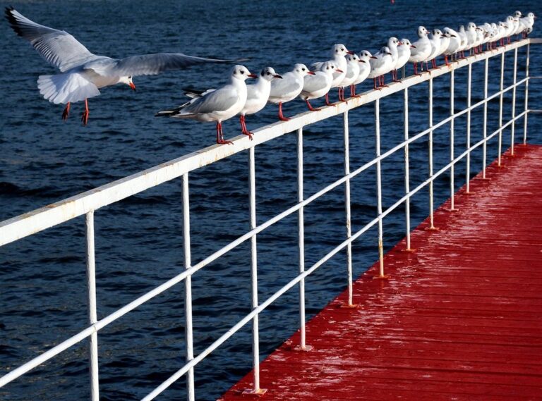 pixel art ideas pinterest