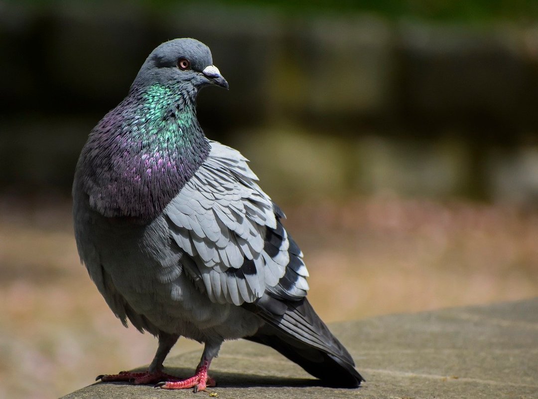 What Sets Poh Enterprise Co Apart from Competitors