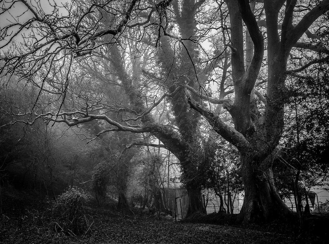 The Trade 500 Eprex Advantage: Why Traders Are Switching